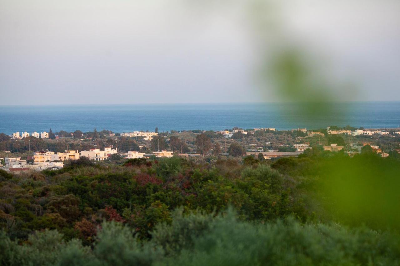 Muses Of Art Villas Afantou Bagian luar foto